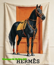 Hermes Vintage Equestrian Horse & Orange Door Flannel Throw Blanket IMG_5297